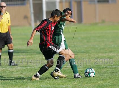 Thumbnail 3 in Lincoln @ Manteca photogallery.