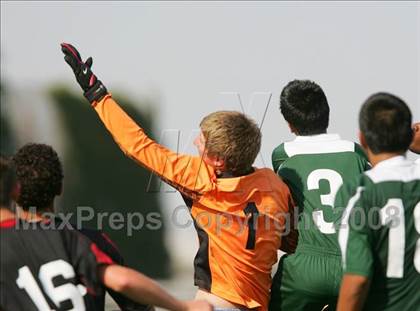 Thumbnail 2 in Lincoln @ Manteca photogallery.