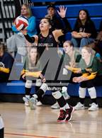 Photo from the gallery "Arbor View vs Maricopa (Nike Tournament of Champions)"