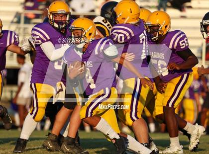 Thumbnail 2 in FR: Hernando @ DeSoto Central photogallery.