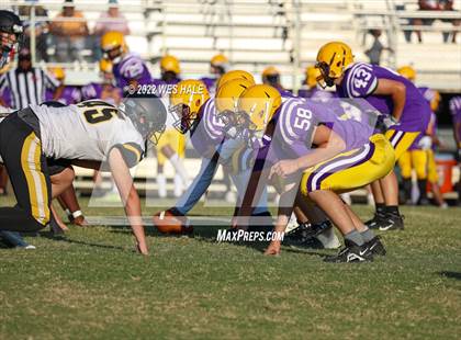 Thumbnail 2 in FR: Hernando @ DeSoto Central photogallery.