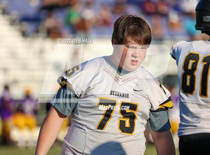 Thumbnail 1 in FR: Hernando @ DeSoto Central photogallery.