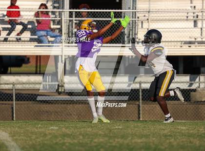Thumbnail 2 in FR: Hernando @ DeSoto Central photogallery.