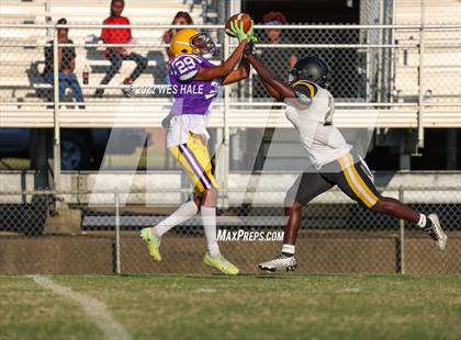Thumbnail 3 in FR: Hernando @ DeSoto Central photogallery.