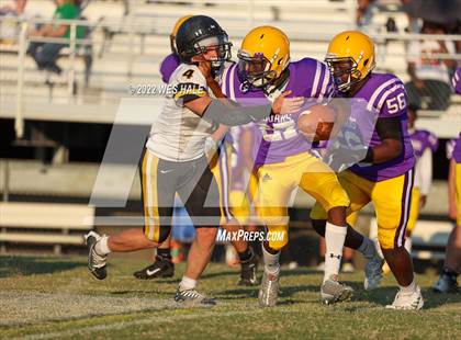 Thumbnail 2 in FR: Hernando @ DeSoto Central photogallery.