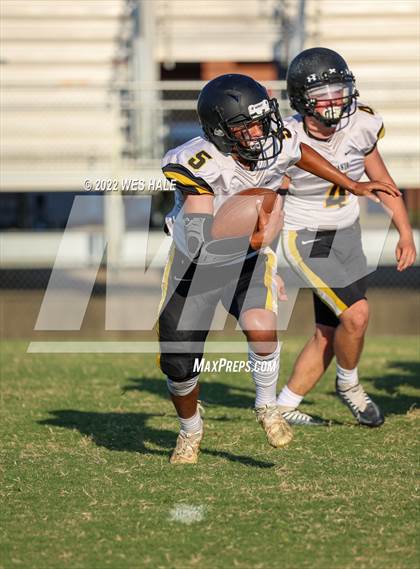 Thumbnail 1 in FR: Hernando @ DeSoto Central photogallery.