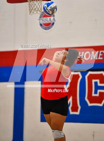 Thumbnail 2 in Overton @ McGavock photogallery.