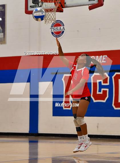 Thumbnail 1 in Overton @ McGavock photogallery.