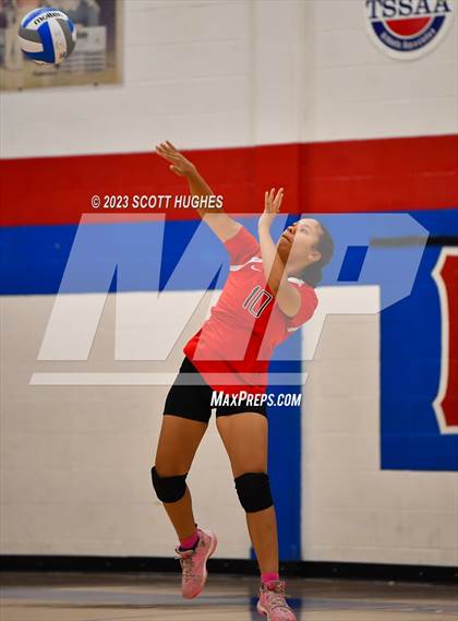 Thumbnail 3 in Overton @ McGavock photogallery.