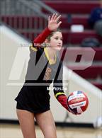 Photo from the gallery "Creekview @ Lassiter"