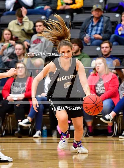 Thumbnail 1 in Pangburn vs. Bigelow (AAA 2A District Playoff) photogallery.