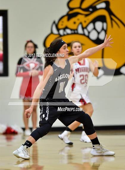 Thumbnail 1 in Pangburn vs. Bigelow (AAA 2A District Playoff) photogallery.