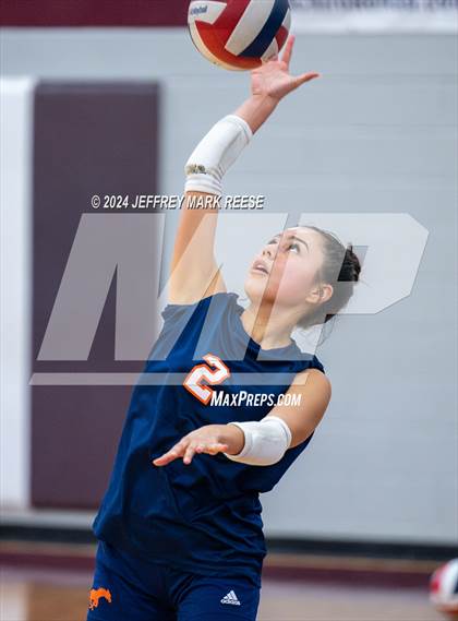Thumbnail 1 in Sachse @ Wylie photogallery.