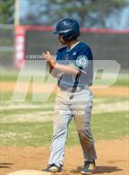 Photo from the gallery "Colonial Forge @ Gainesville"