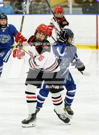 Thumbnail 1 in Avon @ New Canaan (CIAC Semifinals) photogallery.