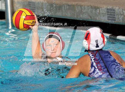 Thumbnail 3 in Freedom vs Liberty photogallery.