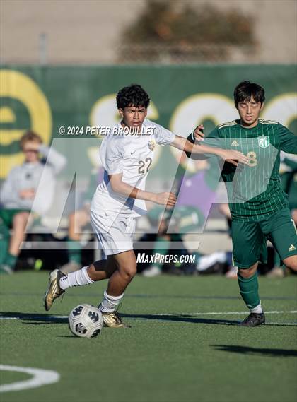 Thumbnail 1 in Millikan @ Edison photogallery.