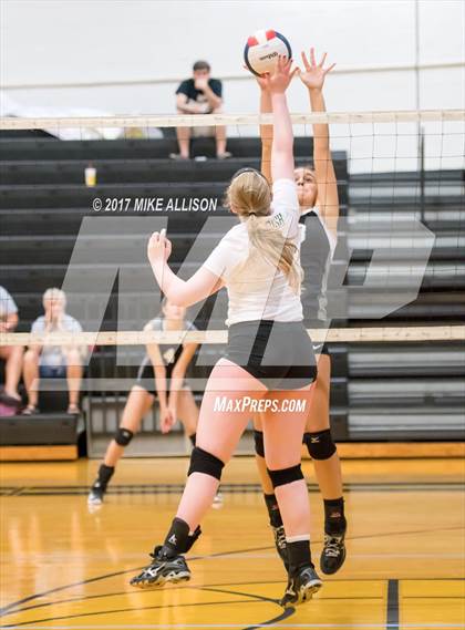 Thumbnail 1 in Notre Dame vs Upperman photogallery.