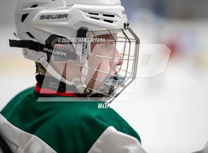Thumbnail 3 in Stark @ Pembroke photogallery.