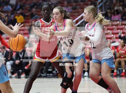 Thumbnail 1 in Judge Memorial Catholic vs. Canyon View (UHSAA 3A 5th  /6th Place) photogallery.