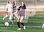 Photo from the gallery "Windsor @ Holy Family"
