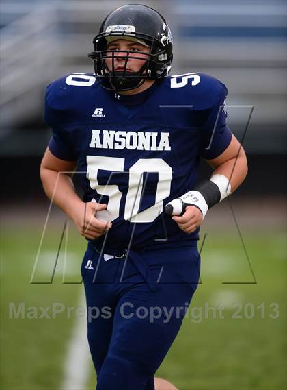 Thumbnail 3 in Watertown @ Ansonia photogallery.