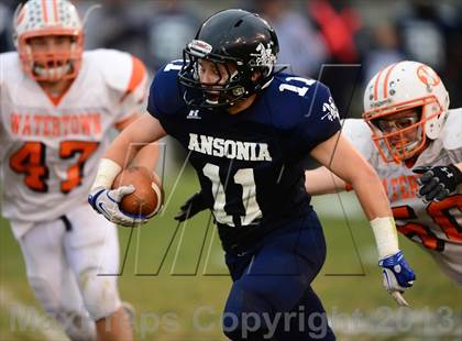 Thumbnail 1 in Watertown @ Ansonia photogallery.