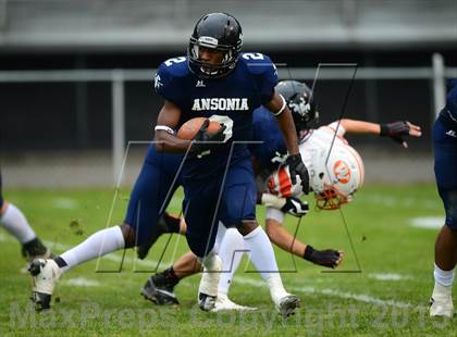 Thumbnail 1 in Watertown @ Ansonia photogallery.