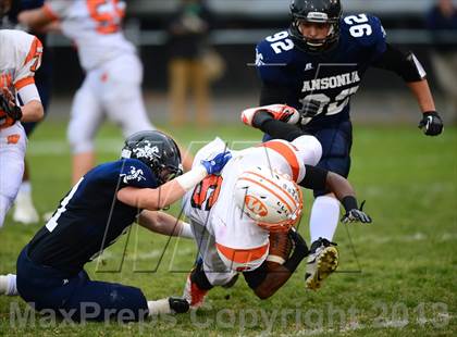 Thumbnail 3 in Watertown @ Ansonia photogallery.