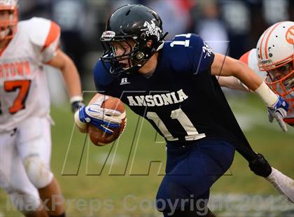 Thumbnail 3 in Watertown @ Ansonia photogallery.
