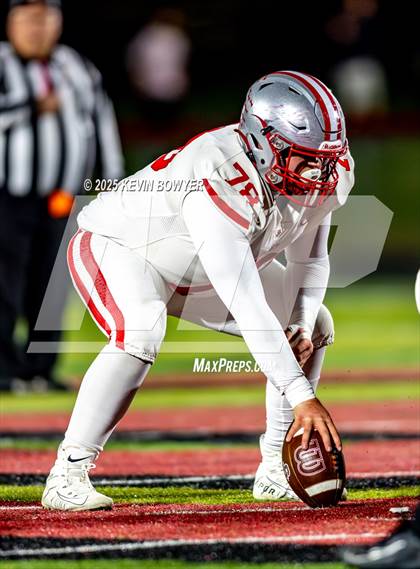 Thumbnail 2 in Shelby @ Marion Harding photogallery.