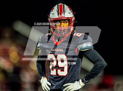 Thumbnail 3 in Shelby @ Marion Harding photogallery.