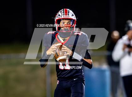 Thumbnail 2 in Shelby @ Marion Harding photogallery.