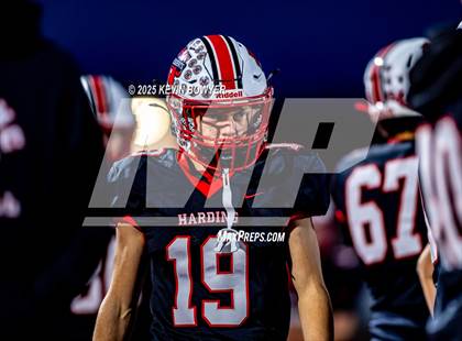 Thumbnail 3 in Shelby @ Marion Harding photogallery.