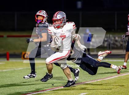 Thumbnail 1 in Shelby @ Marion Harding photogallery.