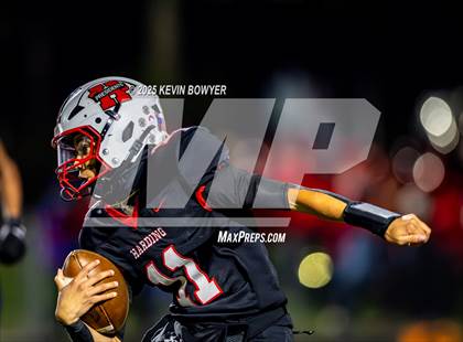 Thumbnail 3 in Shelby @ Marion Harding photogallery.