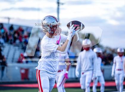 Thumbnail 3 in Shelby @ Marion Harding photogallery.