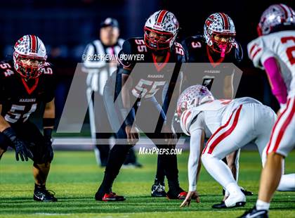 Thumbnail 1 in Shelby @ Marion Harding photogallery.