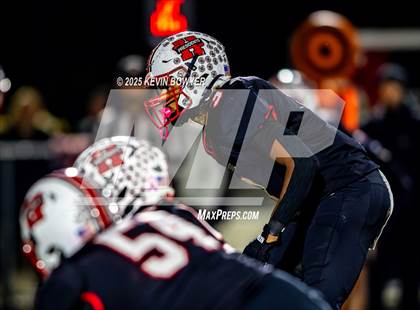 Thumbnail 1 in Shelby @ Marion Harding photogallery.