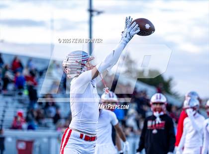 Thumbnail 2 in Shelby @ Marion Harding photogallery.