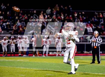 Thumbnail 3 in Shelby @ Marion Harding photogallery.