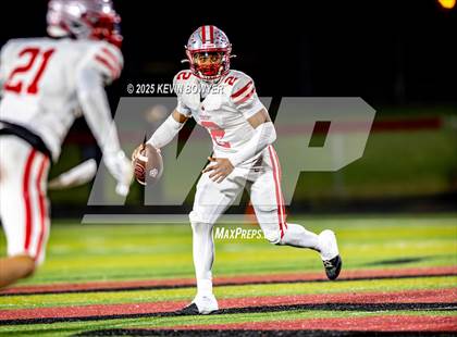 Thumbnail 3 in Shelby @ Marion Harding photogallery.