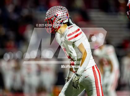 Thumbnail 1 in Shelby @ Marion Harding photogallery.