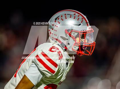 Thumbnail 2 in Shelby @ Marion Harding photogallery.