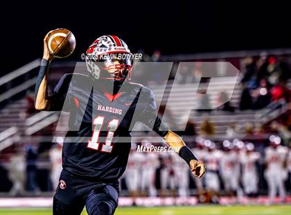 Thumbnail 3 in Shelby @ Marion Harding photogallery.