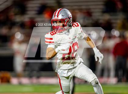 Thumbnail 3 in Shelby @ Marion Harding photogallery.