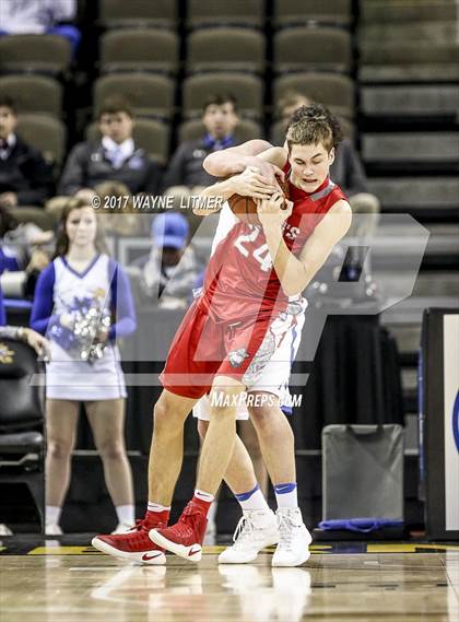 Thumbnail 2 in Scott vs Dixie photogallery.