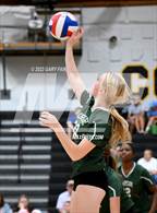 Photo from the gallery "Notre Dame @ Hixson"
