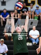 Photo from the gallery "Notre Dame @ Hixson"