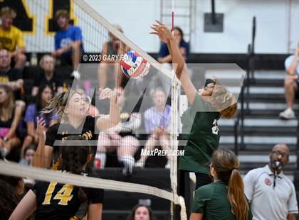 Thumbnail 3 in Notre Dame @ Hixson photogallery.